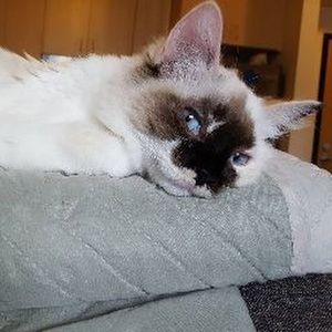 Meet your Posher, Janelle